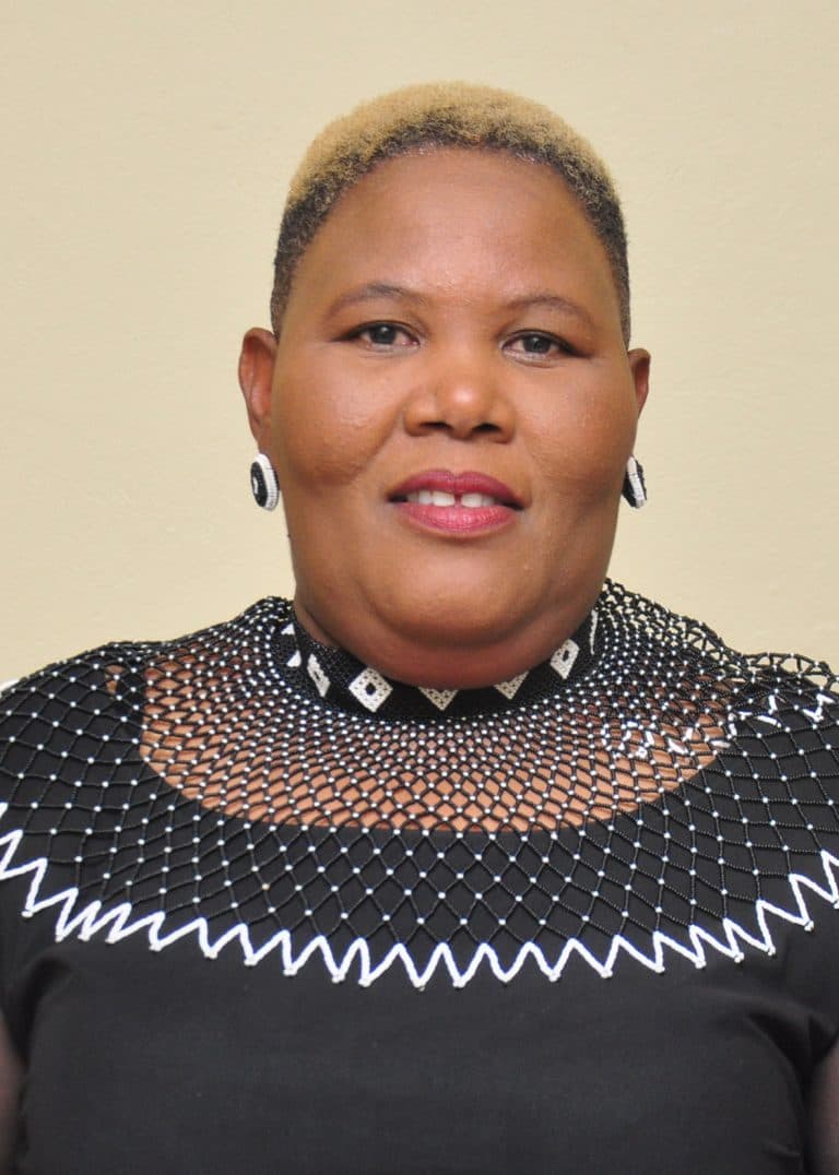 Mayor Cllr N. F. Koni